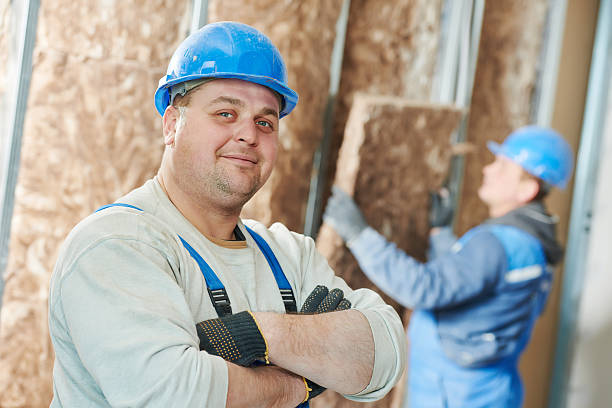 Best Insulation Maintenance and Repair in New Johnsonville, TN